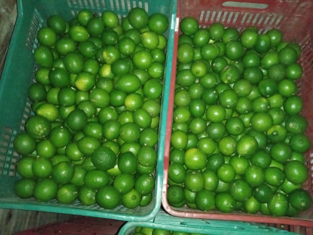 Imagen 31-10-22 a las 9.34 (1)