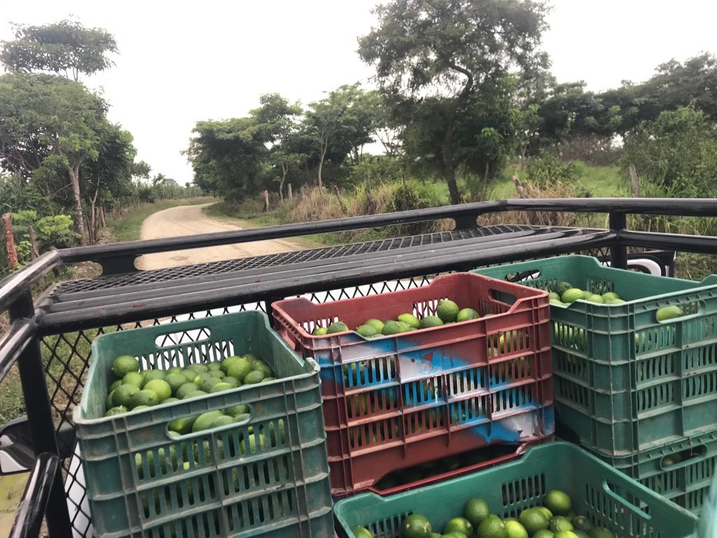 Imagen 31-10-22 a las 9.34